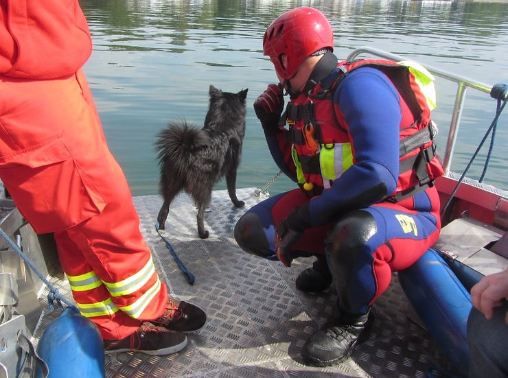 schwarzer Spitz bei Rettungshundestaffel